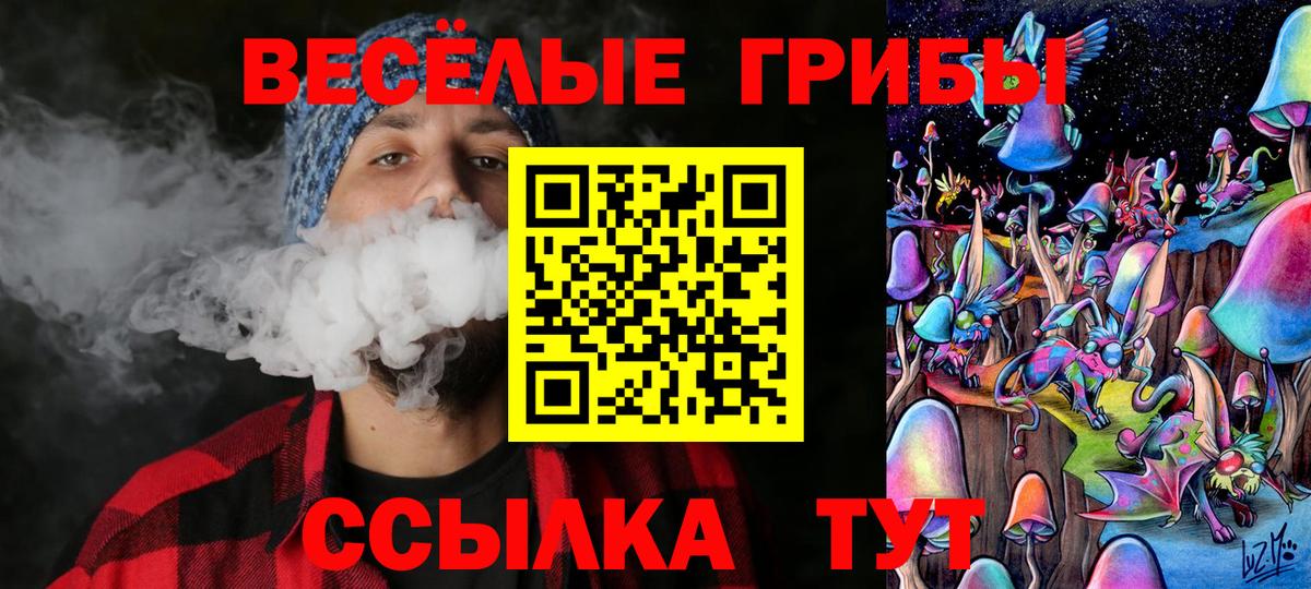 что такое   Вход с VPN  Луга  Галлюциногенные грибы GOLDEN TEACHER 